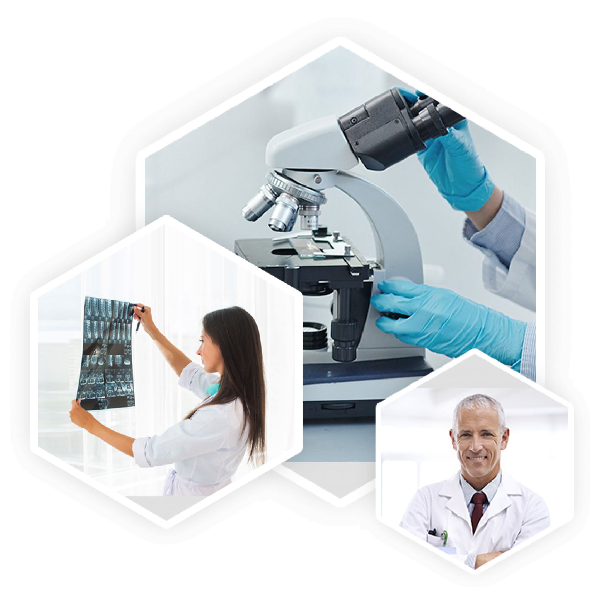 Doctor using TajEmo EHR